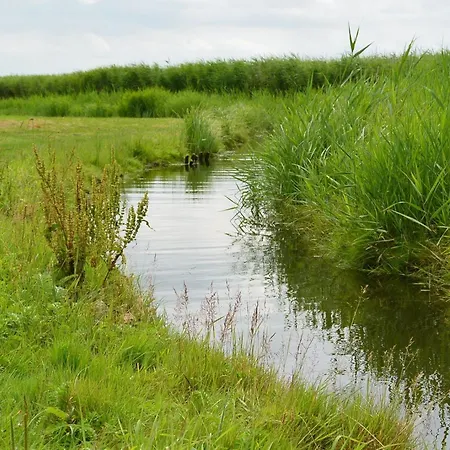 Jürgensen, Mühlenhof An Der Schlei *