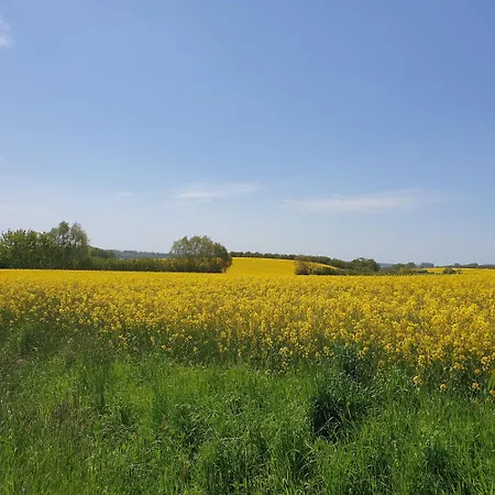 Juergensen, Muehlenhof An Der Schlei Apartament Grodersby
