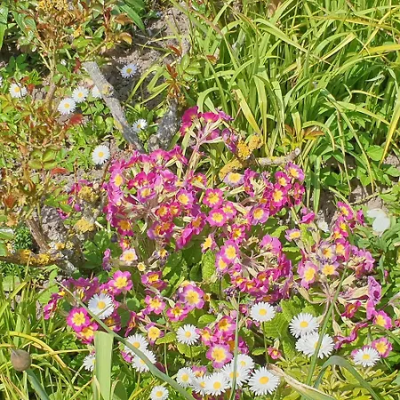 Apartament Juergensen, Muehlenhof An Der Schlei